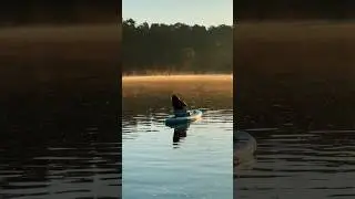 Рассвет 🌅