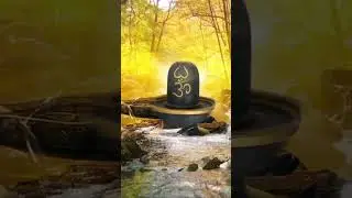 #shiv #shorts #live #explore #youtubeshorts #bholenath #kedarnath #shiva #viral #viralvideo #reels