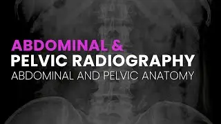 Abdominal and Pelvic Radiography | Abdominal and Pelvic Anatomy