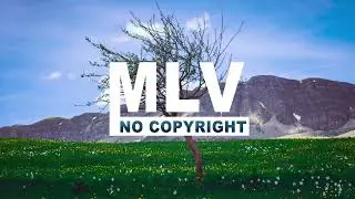 Beautiful Future Bass Music : Himalaya - Liqwyd (No Copyright Music)