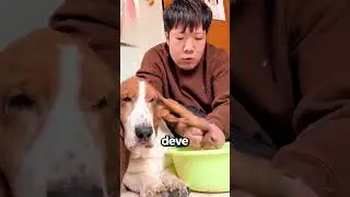 Those Ears Are Good For EVERYTHING!😍🐶
