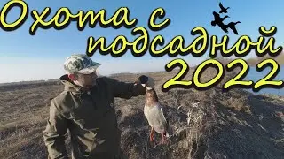 Охота на утку с подсадной. Открытие охоты 2022г в Сибири.