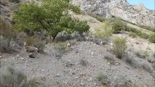 Alpine Loop on our bike