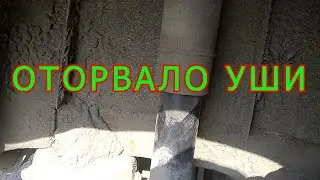 ОТОРВАЛО УШИ