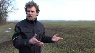Vogelbescherming Nederland