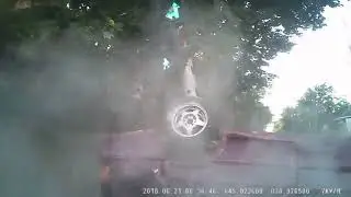 Света: 
