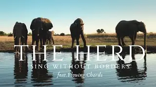 Sing Without Borders ft Flowing Chords - The Herd