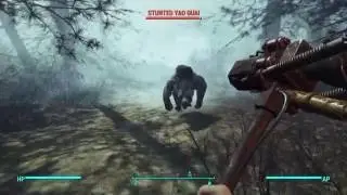Fallout 4 Far Harbor #5 drinking from a waterfall of rads