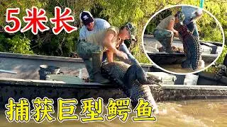 沼澤獵手：太重了，捕獲巨型鱷魚，要用吊機才能拉起來！紀錄片