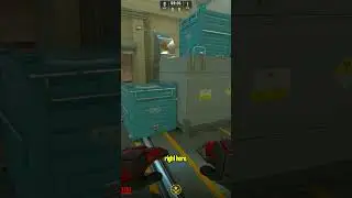 THE BEST VENT FLASH IN CS2 