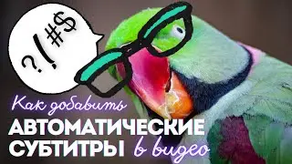 автоматические субтитры на видео