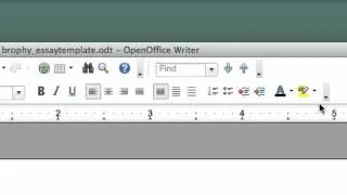 6. Setting Margins, Fonts, and Line Spacing in OpenOffice Writer