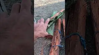 painted my logs, rocks, nd tires