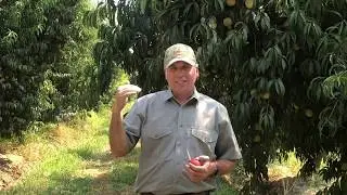 Why Regenerative Agriculture Systems Are Key to Increasing Profit & Quality