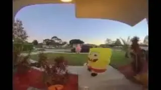 SHUT UP PATRICK SHUT THE FU-