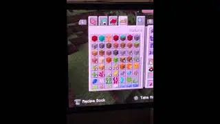 Minecraft try to die