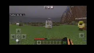 iron golem roadman