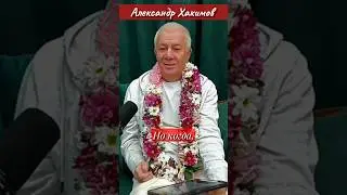 К кому проявляется милость Кришны? / Александр Хакимов 
