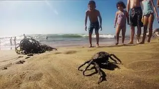 Vacaciones 2016