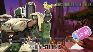 Overwatch: Salty Studies - Bastion