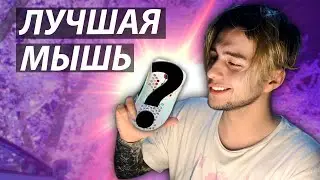 КАК Я ИСКАЛ МЫШКУ И ВЫБРАЛ ЛУЧШУЮ?