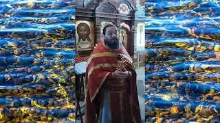 11.09.24. День трезвости 2024