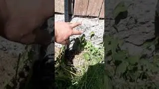 Почему проседает и наклонился дом