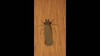 я стала тараканом в robloxPOV: You are a cockroach in my house
