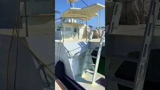 Power Catamaran Jet Boat #shorts
