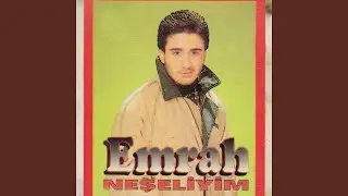 Bal Mısın Arı Mısın