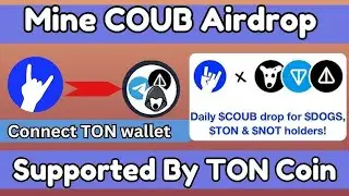 COUB — адаптация тик-тока внутри Telegram от проекта Notcoin
