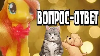 Вопрос-Ответ!