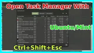 How to use Task Manager on Linux Mint (Ctrl+Shift+Esc)