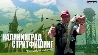 Стритфишинг по Калининградски / река Преголя