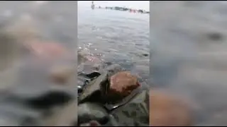 Море Владивостока