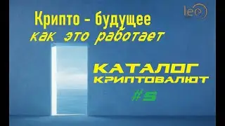 Какие есть криптовалюты? | Простыми словами