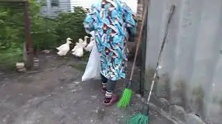 Отдыхают В селе ЛЮДИ ? В гостях у СВЕКРУНЬКИ /