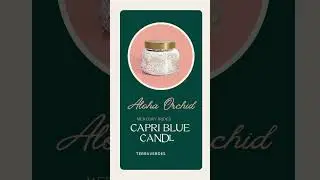 Shop Capri Blue candles at Terra Verde Boutique in-store & online at TerraVerdeStyle.com