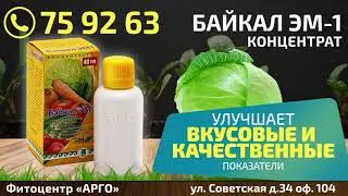 Арго   Байкал ЭМ 1