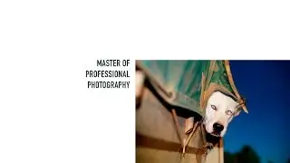 Master of Professional Photography at the IED Madrid