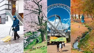 Seasons in Japan | Street Photo Vlog | RF24-70 F2.8L