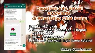 Langkah-langkah Dapatkan Info Aktual Virus Corona di WhatsApp Chat Kamu