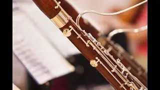 Знакомство с духовыми инструментами (фагот)