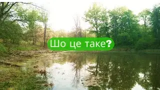 ✔Fishing 🎣 on Beaver Lake🦫 What's splashing there❓ ✔