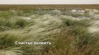 Фильм 13. «Счастье выжить».2015 г.