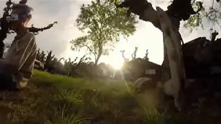 Lumière du soir !