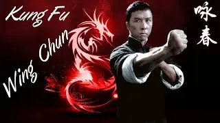 L'ART MARTIAL LE PLUS PUISSANT DU MONDE  Apprendre à Connaître Le Kung Fu Wing Chun