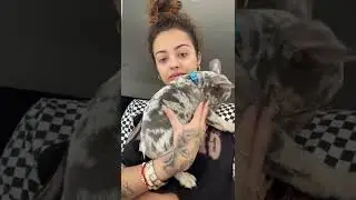 Malu Trevejo live 22-feb-2022