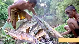 Eat grilled catfish#food #cooking #primitive #fishing #fish #foodie #foodblogger #cook #foodlover