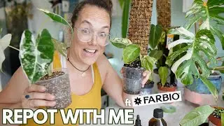 Repot with me and plant chores ft Farbio | Plant with Roos